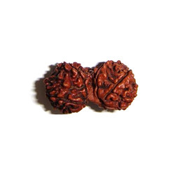 Gauri Shankar Rudraksha Dana